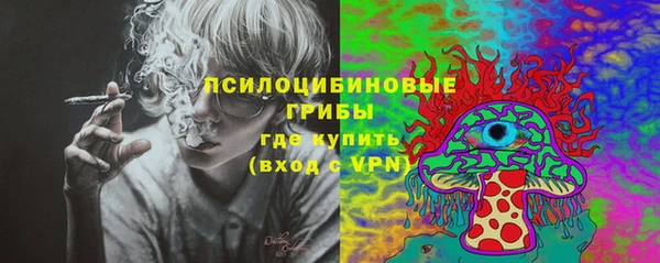 мдпв Протвино
