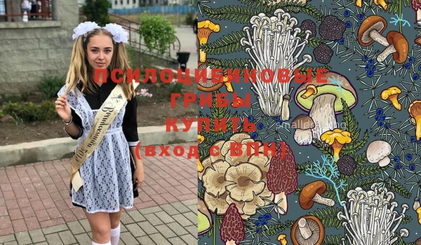 гидра Белоозёрский