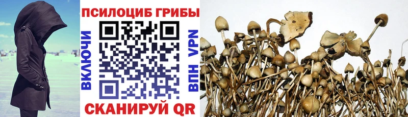 Галлюциногенные грибы GOLDEN TEACHER  Руза 